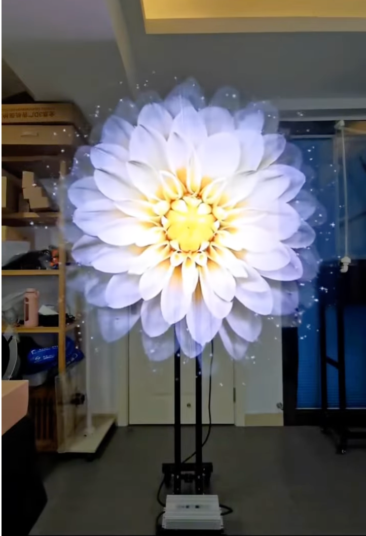 צילום מסך 5786-05-28 ב-12.46.20