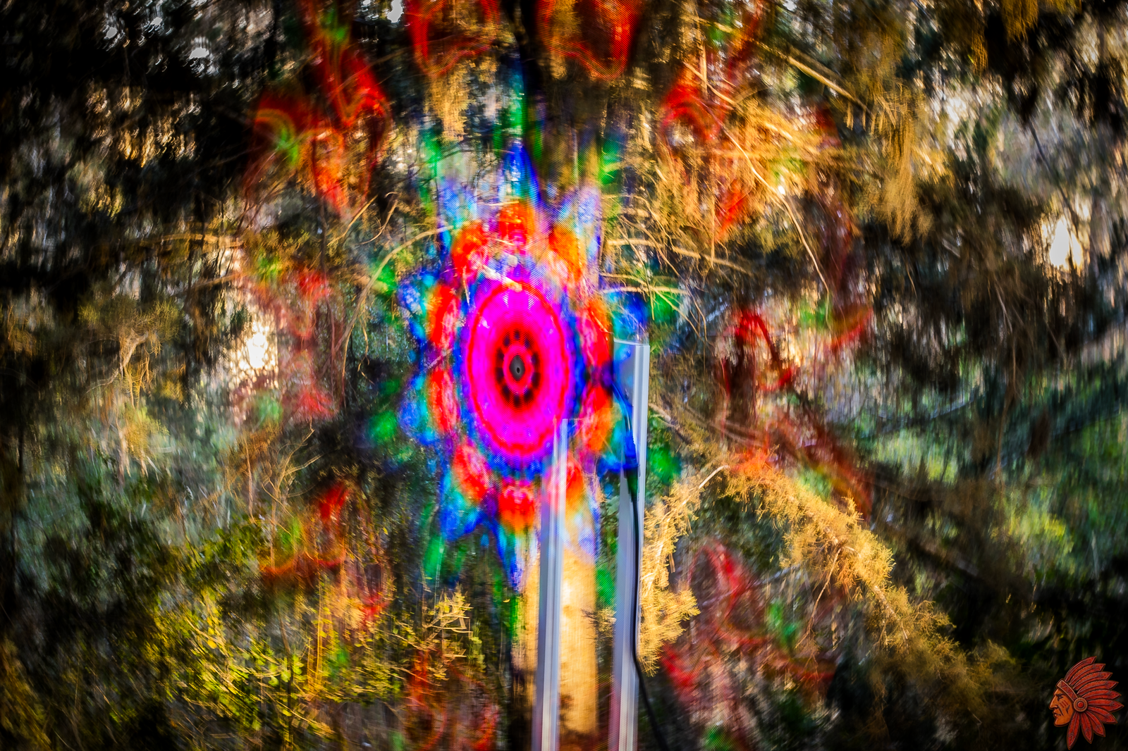 5Z5A7588