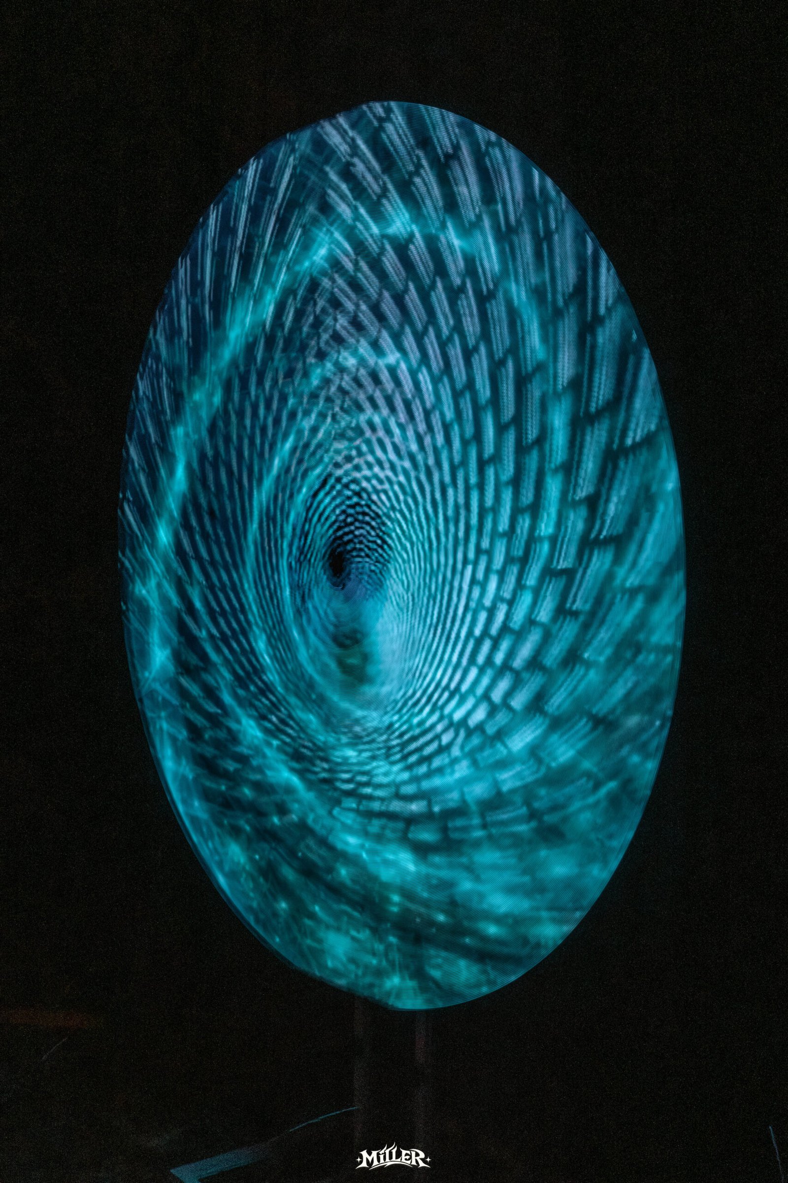 DSCF4182
